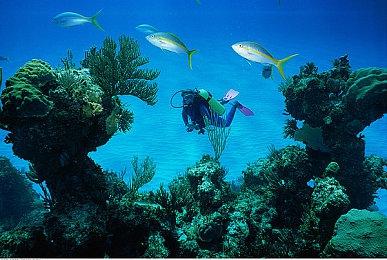 《诡野西部》开发商第二款游戏将是复古科幻FPS